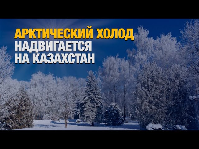Главные новости 11.10.2024 г.