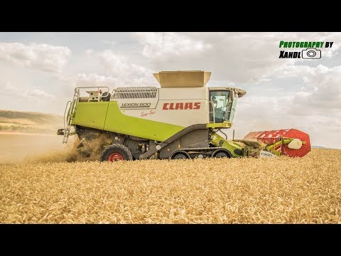 HARVEST in South Moravia CZ | Big Hills | Claas Lexion 600TT | John Deere | Agriulture