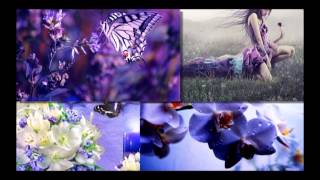 Enya - Sumiregusa ( Wild Violet )