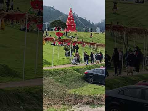 Fresas El Rosal (Sibaté - Cundinamarca)