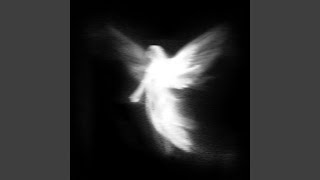 Cover art for Angel- jake webber