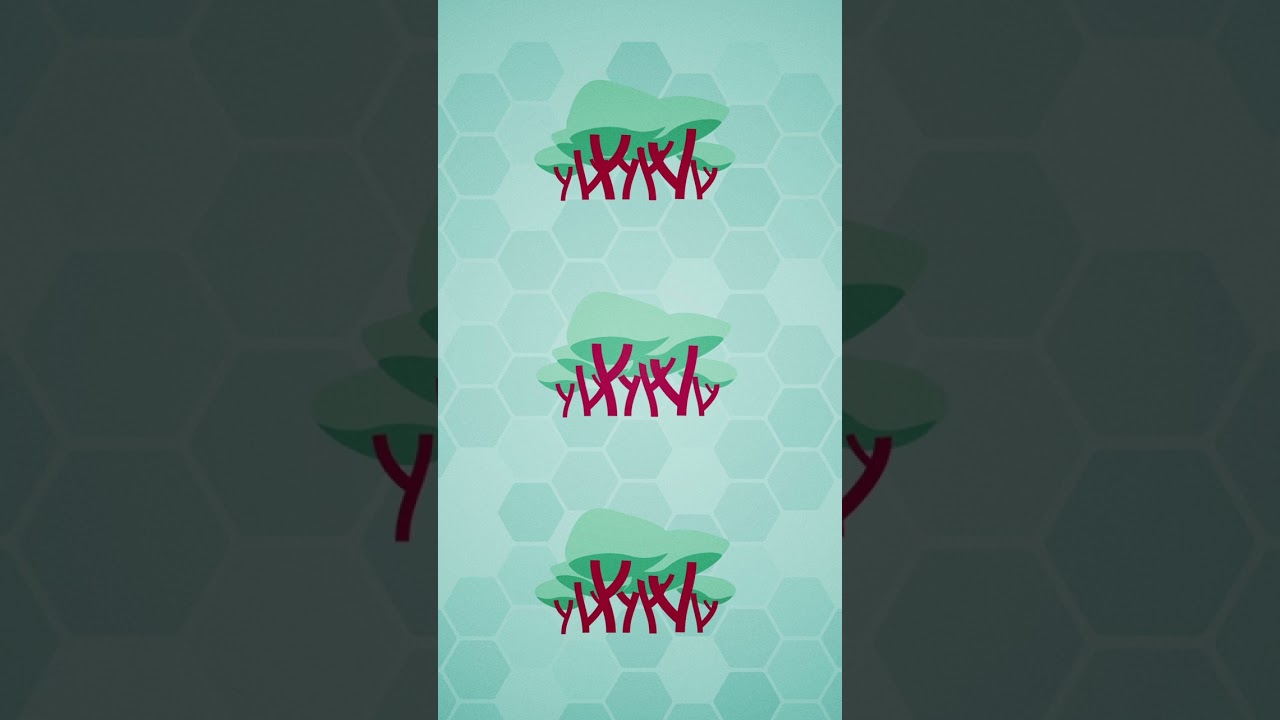 What Is Globalization?