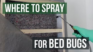 Where to Spray for Bed Bugs: Bed Bug Control
