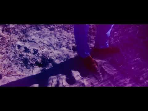 Video thumbnail for Walk with a Big Stick