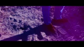 Musik-Video-Miniaturansicht zu Walk With A Big Stick Songtext von Foster The People
