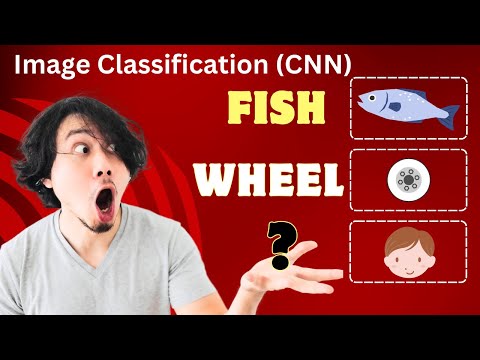 Image Classification With Cnn Python Hands On Deep Learning Session Tensorflow Python