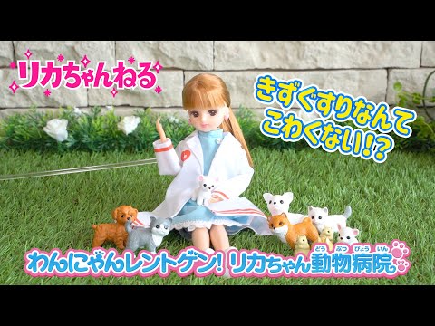 【リカちゃんねる＃１7】公式♡　動物病院　きずぐすりなんてこわくない？！