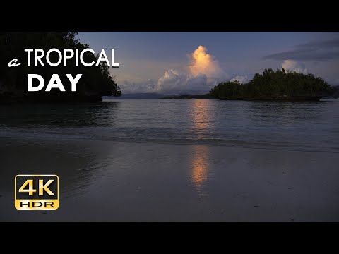 4K HDR A Tropical Day - Peaceful Moments on a Wild Tropical Island - Relaxing Ocean Wave Sounds
