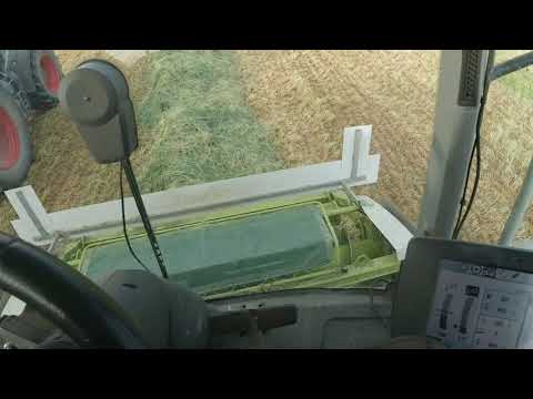 Weg mitn Roggen und eine mitn Mais🌽