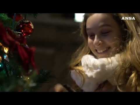 TG 24 NEWS | 19 dicembre 2021 | ore 19