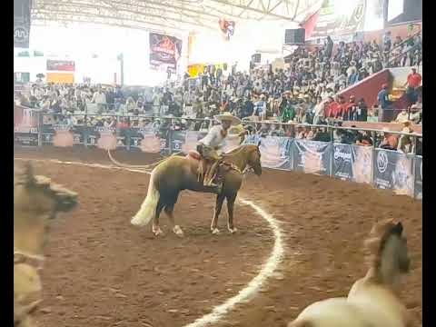 ENRIQUE JIMÉNEZ 3 POTRILLOS DE JALISCO MANGANA 1 SEMIFINALES XXI CIRCUITO EXCELENCIA CHARRA 2022...