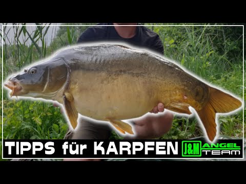 Wels und Karpfenangeln am See - Angeln auf Wels und Karpfen XXL WELS