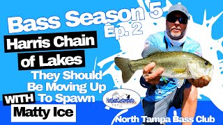 Harris Chain Bass Tournament They Should Be Moving Up to Spawn.
