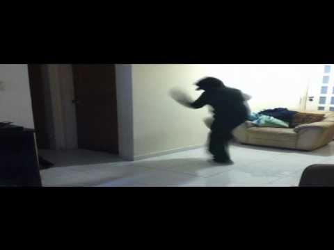 North System tryout | Andy [Venezuela] | REJECTED Q.Q