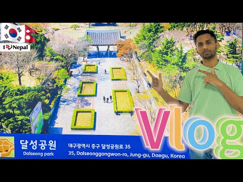 aaja park ghumna gako korea street vlog 😲 DAEGU DALSEONG PARK