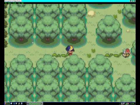 pokemon shiny gold how to get pass farfetch