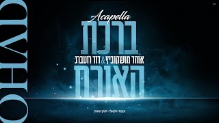 ברכת האורח I אוהד מושקוביץ & דוד רוטברג  Birkat Ha'Oreach I OHAD & Dovid Rotberg I
