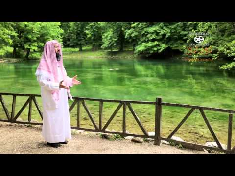 الشيخ الطنطاوي يذكر قصة حقيقية حصلت لرجل.. غريبة وعجيبة!!!