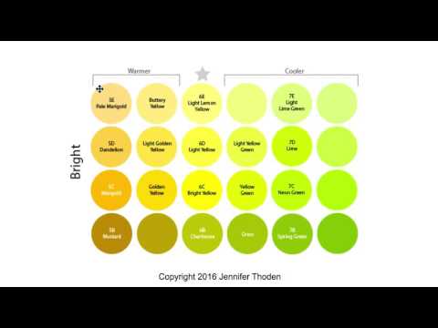 download lagu mp3 mp4 Shade Of Yellow, download lagu Shade Of Yellow gratis, unduh video klip Shade Of Yellow