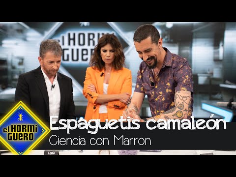 Marron sorprende a Pablo Motos y a Maribel Verdú con sus 'Espaguetis Camaleón' - El Hormiguero