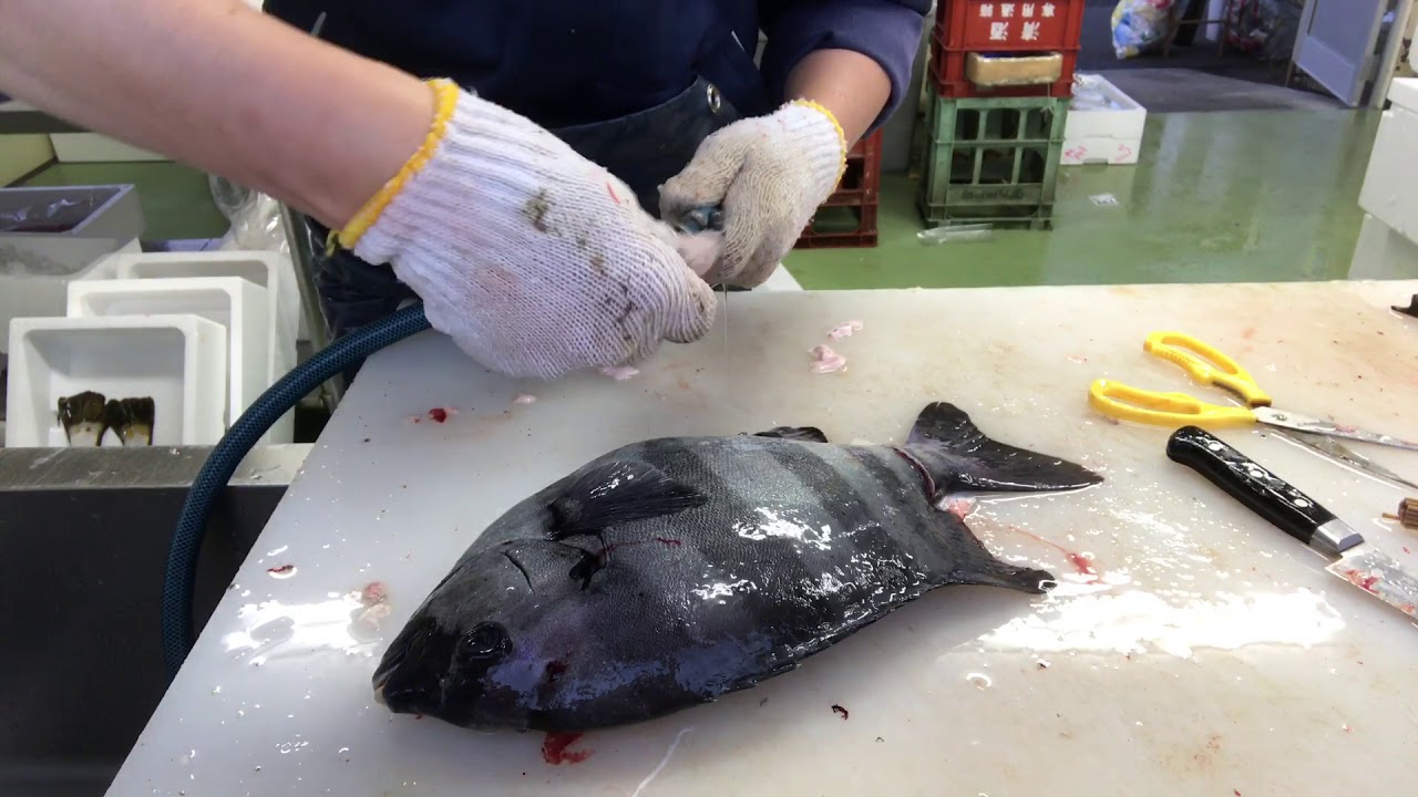 仕事風景です(説明を読んでね)  vol.54