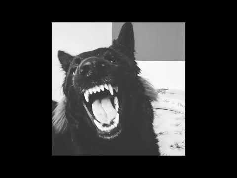 Λάθος Αντιλήψεις - Αλεκάν & Blue Orange