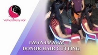 Vietnamese haircut from Donor directly - VIETNAM REMY HAIR COMPANY