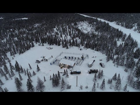 Road Trip au Canada - Partie 1 : La vie de Musher