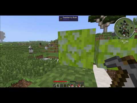 Resonant Rise SSP Episode1: A New Start