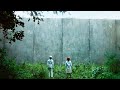 Orphans Raised Inside This Giant Wall To Be Harvested