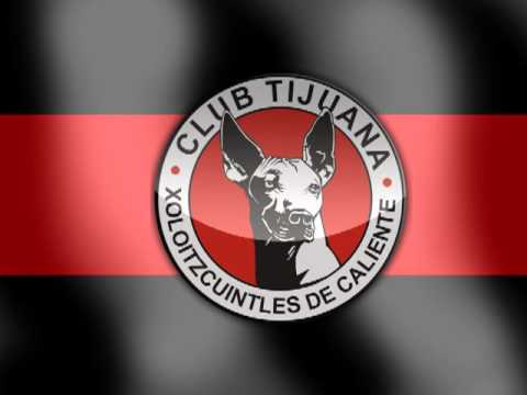 "Himno de Xoloitzcuintles" Barra: La Masakr3 • Club: Tijuana