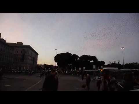 Sensational Sunset at Roma Termini