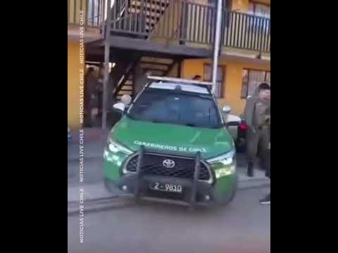 Turba de Simios agredieron a Carabineros en Talagante región Metropolitana