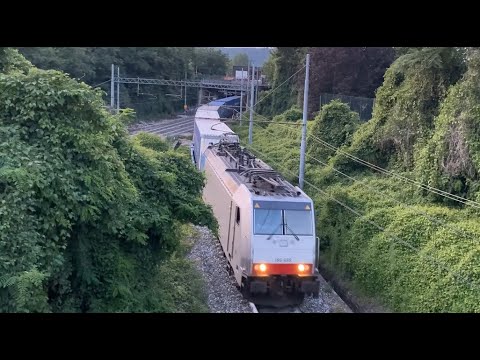 Treno in transito alla BIFORCAZIONE tra la ferrovia MILANO/DOMODOSSOLA e la LUINO/OLEGGIO/NOVARA