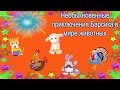 Необыкновенные приключения Барсика в мире животных! 