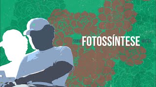 Fotossíntese Music Video