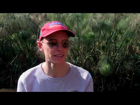 CALLAN MURRAY   SOQRAT VDJ