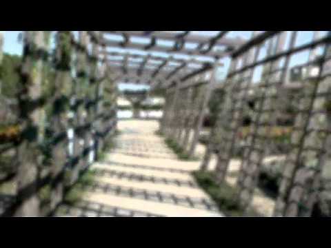 La Venaria Reale. Every time, the wonder of beauty