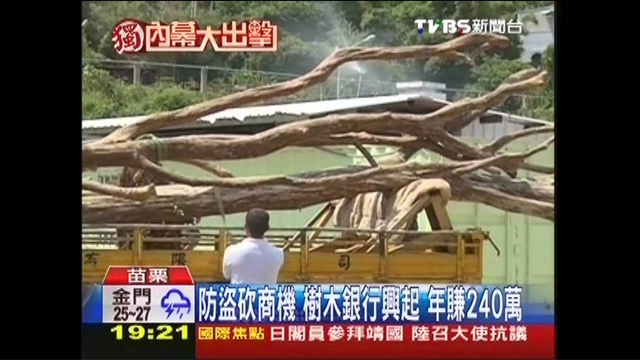 〈獨家〉防盜砍商機　樹木銀行興起年賺240萬