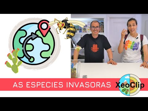 Vídeo: As especies invasoras