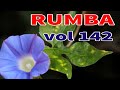 Rumba Melody Instrumental Relaxing Music Soft Music For Relaxation Vol 142