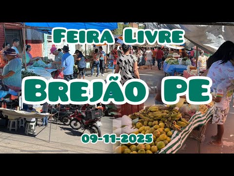 Feira Livre de Brejão PE 09/11/2025 #feira #domingo #sol