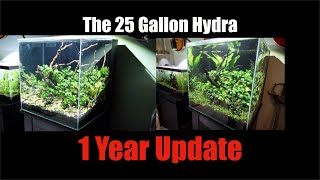 Hydra 25 1 Year Update