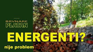 Platan, primer energetske efikasnosti