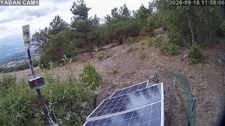 1️⃣🔴7/24 Kesintisiz Yaban Hayatından Canlı Yayın 🐾(Türkiye'de ilk ve tek) camera Batı 2 live webcam