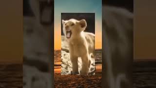 Download lagu badannya besar tangannya kecil meme #memes #lucu #editor mp3