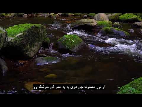 څپرکي 44 لوګی ، د زړه زړه راښکونکي قران تلاوت ، 90+ ژبه فرعي سرلیکونه