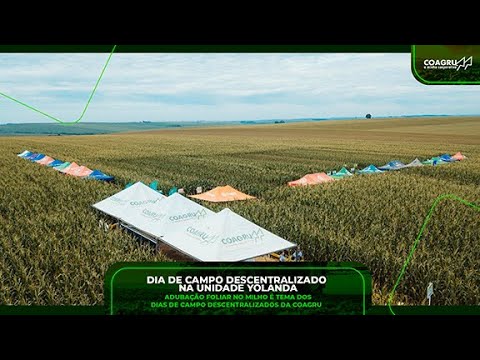 Coagru Informativo - Dia de Campo Descentralizado Yolanda