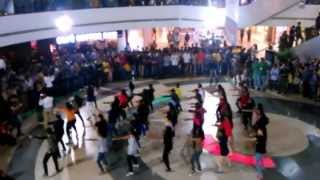 preview picture of video 'Flash Mob at Inorbit Mall Vashi Mumbai'