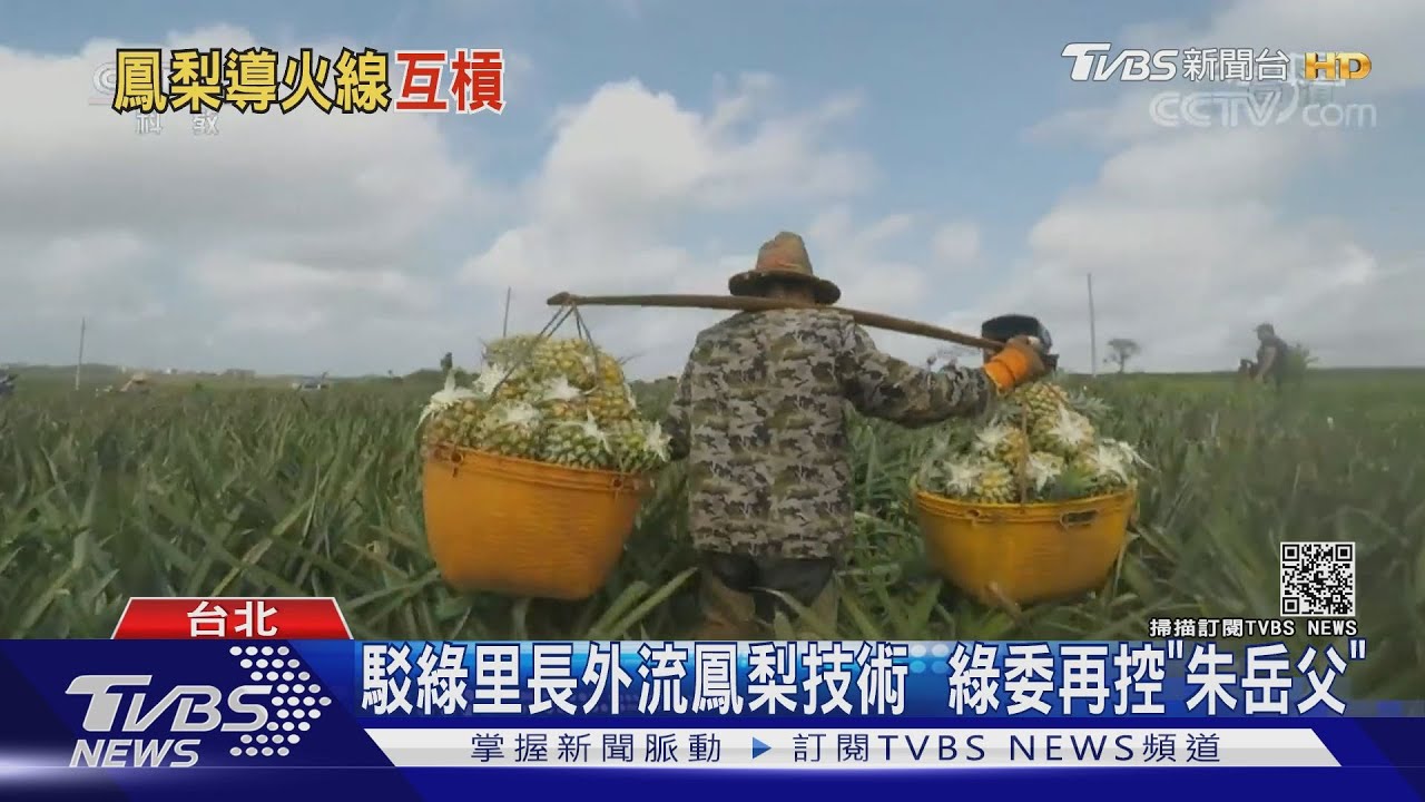 駁綠里長外流鳳梨技術　綠委再控「朱岳父」